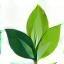 Eco-Friendly Approach